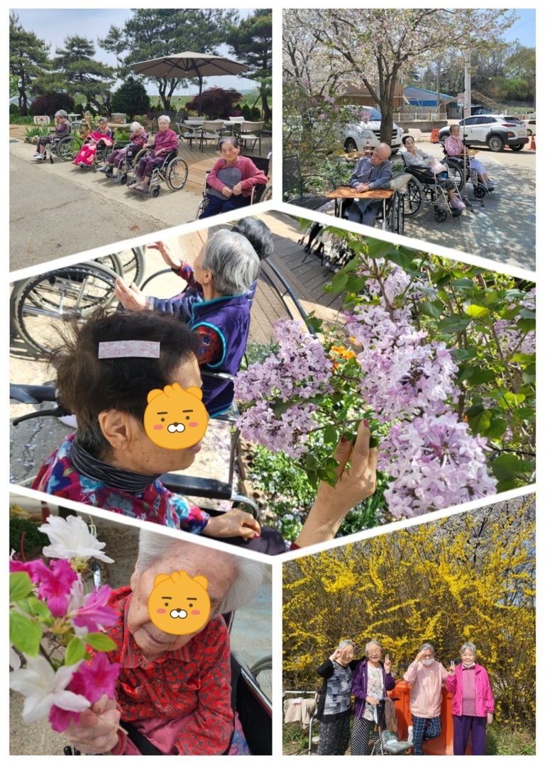 24년 4월   여가프로그램 (꽃산책)