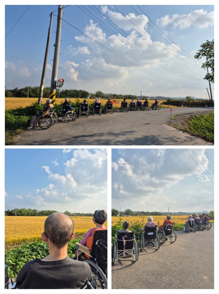 24년  10월  여가프로 (가을하늘 노란벌판 감상하기)