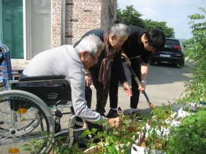 5월에 심은 고추에 물도주고 걸음도 줍니다.