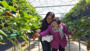 크고 잘 익은 걸로 골라서~