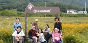 코스모스한들한들 피어있는 곳~