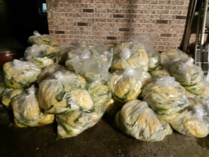 2020. 헤이리   겨울김장 1일차