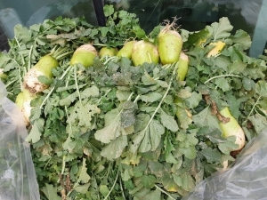 2020. 헤이리  겨울김장 1일차