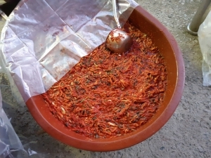 2020. 헤이리 겨울김장 1일차