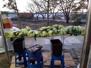 2020년. 헤이리 겨울김장 2일차