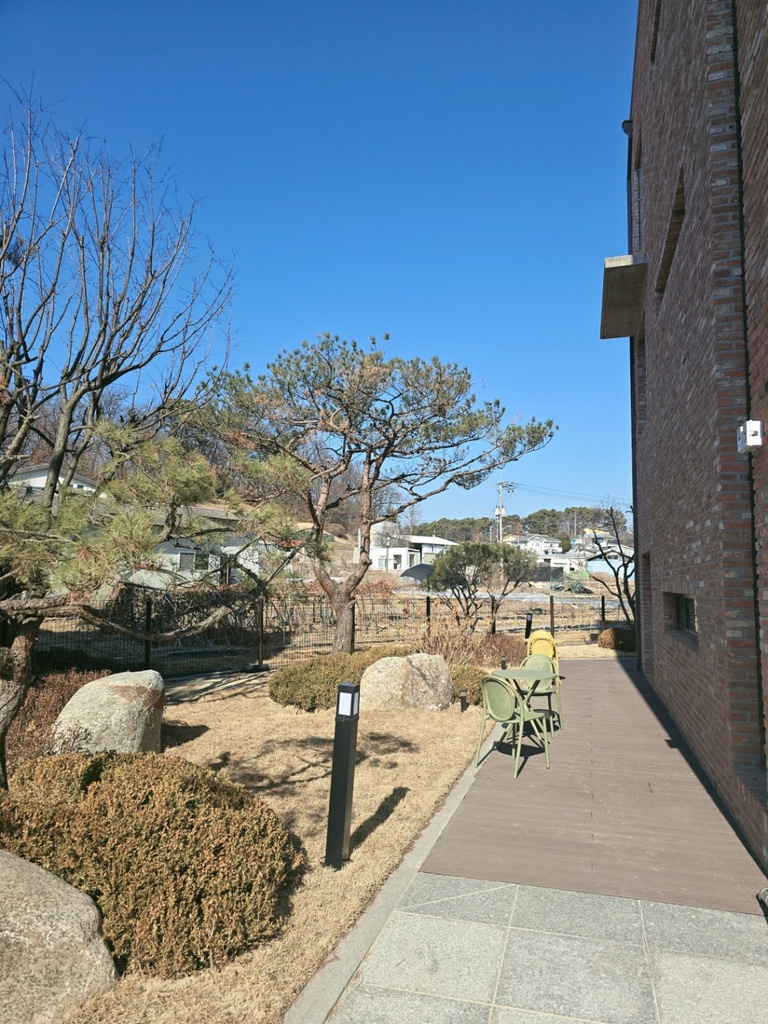 자연 속 산책로