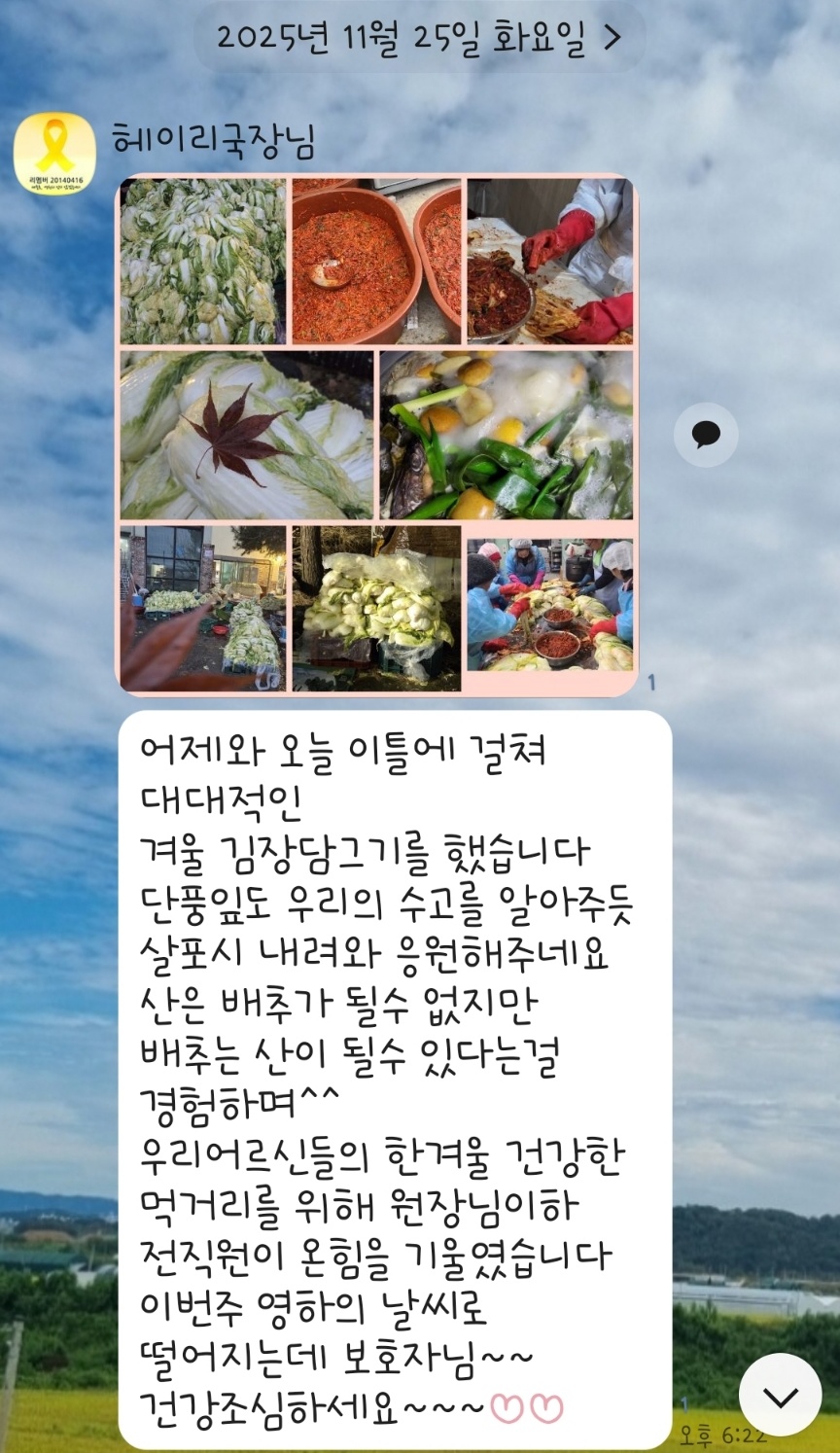 헤이리는 매년 봄&겨울 김장 500포기씩 해요!! 👍👍👍